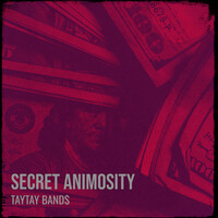 Secret Animosity