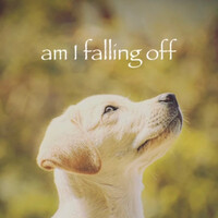 Am I Falling Off