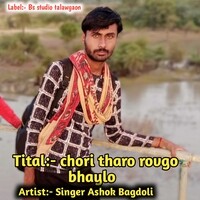 Chori thari rovgo bhaylo