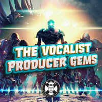 The Vocalist Producer Gems