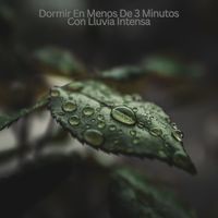 Dormir En Menos De 3 Minutos Con Lluvia Intensa