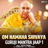 Om Namaha Shivaya Guruji Mantra Jaap 1 MP3 Song Download: Play Om Namaha Shivaya Guruji Mantra Jaap 1 MP3 Song Download: Play