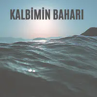 Kalbi̇mi̇n Bahari