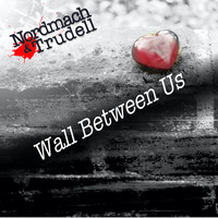 Wall Between Us