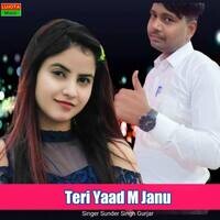 Teri Yaad M Janu