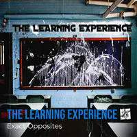 The Learning Experience