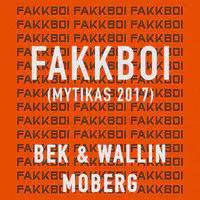 Fakkboi (Mytikas 2017)