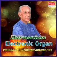 Electronic Organ (Instrumental)