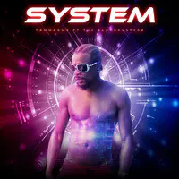 System