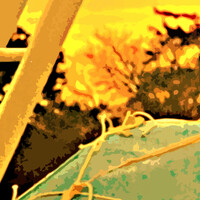 Lay 'em Straight Song Download: Play & Listen Lay 'em Straight all MP3