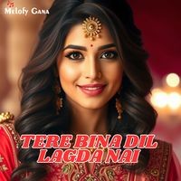 Tere Bina Dil Lagda Nai Ve