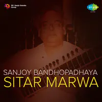Sanjoy Bandopadhyay