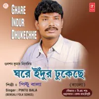 Ghare Indur Dhukechhe