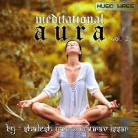 Meditational Aura Vol. 2