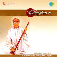 Nadhaswaram