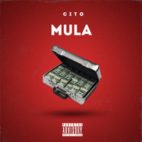 Mula