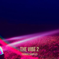 The Vibe 2