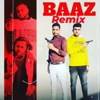 Baaz (Remix)