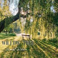 Willow Tree