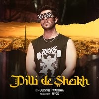 Dilli De Sheikh