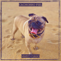 Cachorro Fiel