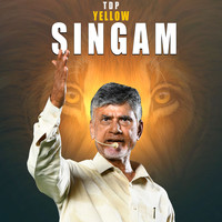 Tdp Yellow Singam