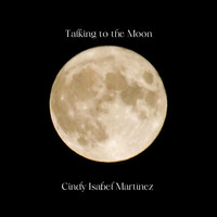 Talking to the Moon