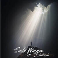 Solo Wings