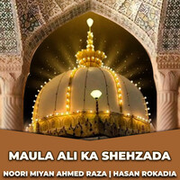 Maula Ali Ka Shehzada