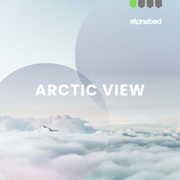 Arctic View