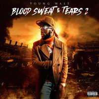 Blood Sweat & Tears 2