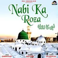 Nabi Ka Roza