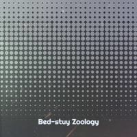Bed-Stuy Zoology
