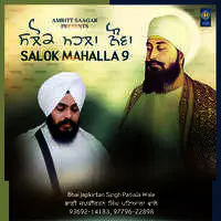 Salok Mahalla 9