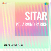 Sitar Pt Arvind Parikh
