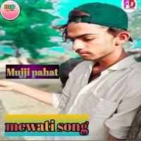 Mewati song