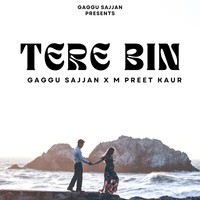 Tere Bin Song Download: Play & Listen Tere Bin Punjabi MP3 Song by Dark ...