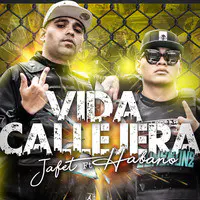 Vida Callejera