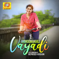 Ammoomakkili Vayadi (Reprised Version)