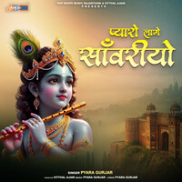 Pyaro Luhar Pyaro Lage Sawariyo Songs Download: Play & Listen Pyaro Lage Sawariyo ...