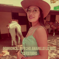 Gorrioncillo Pecho Amarillo Liz Rios