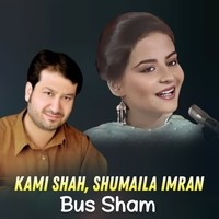Bus Sham
