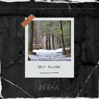 Not Alone