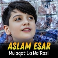 Mulaqat La Na Razi