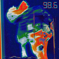 98