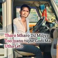 Tharo Mharo Dil Miljya Too Jyanu Tujhe Godi Ma Utha Leto