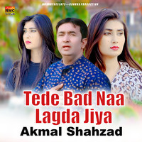 Tede Bad Naa Lagda Jiya