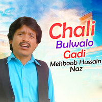 Chali Bulwalo Gadi