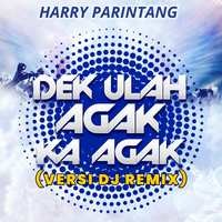 Harry Parintang - Dek Ulah Agak Ka Agak (Versi DJ Remix)