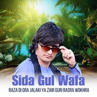 Raza Di Gra Jalaki Ya Zair Guri Rasra Wokhra